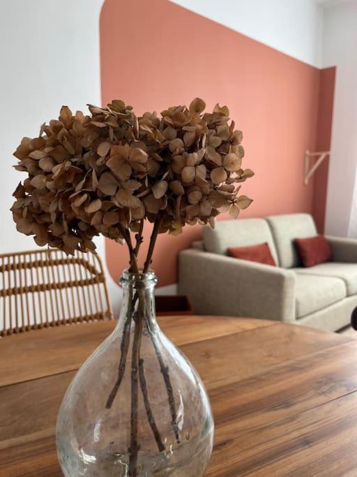 La Maison De Camille Climatisation Parking Prive Wifi 卡尔卡松 外观 照片