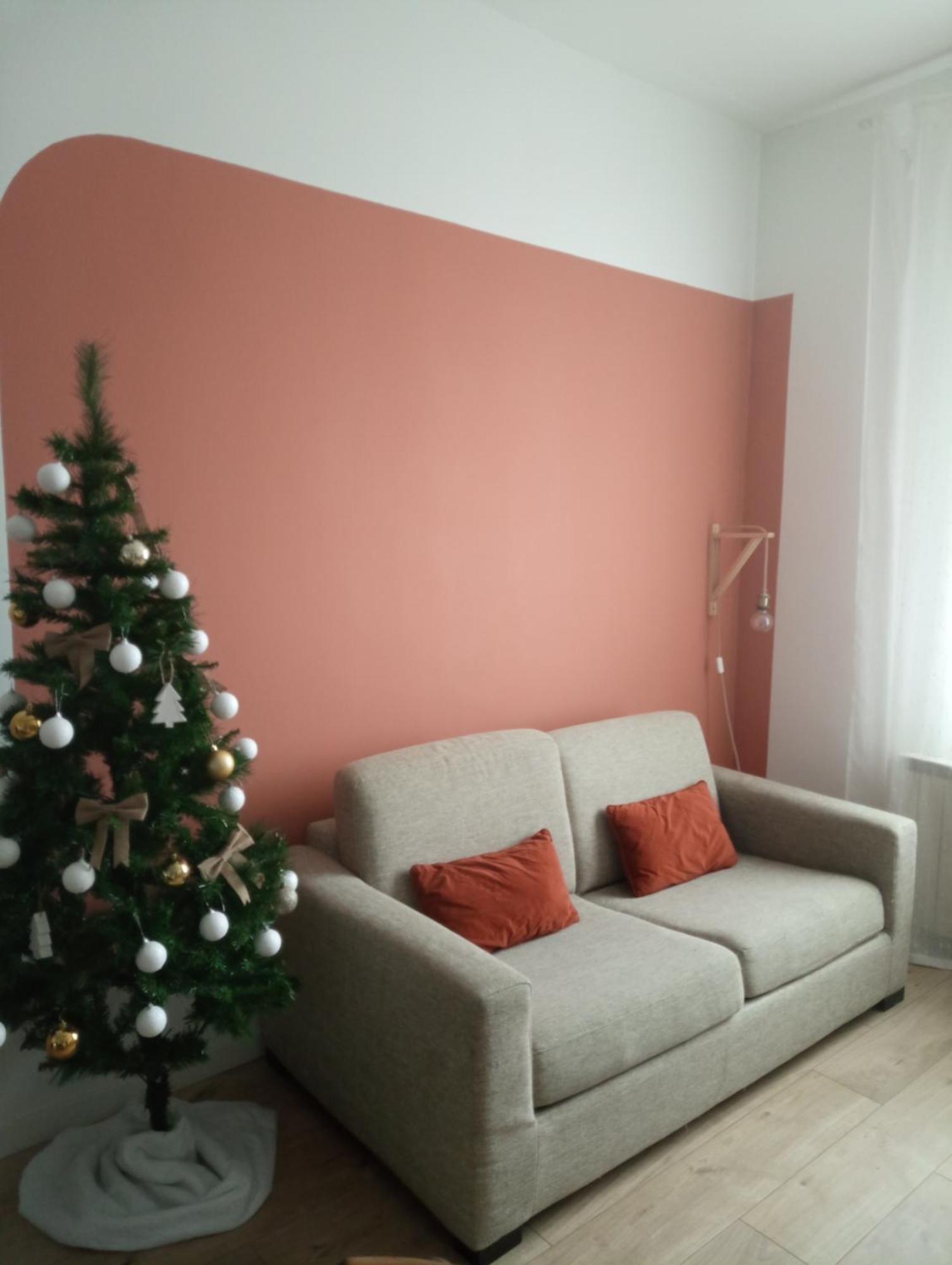 La Maison De Camille Climatisation Parking Prive Wifi 卡尔卡松 外观 照片